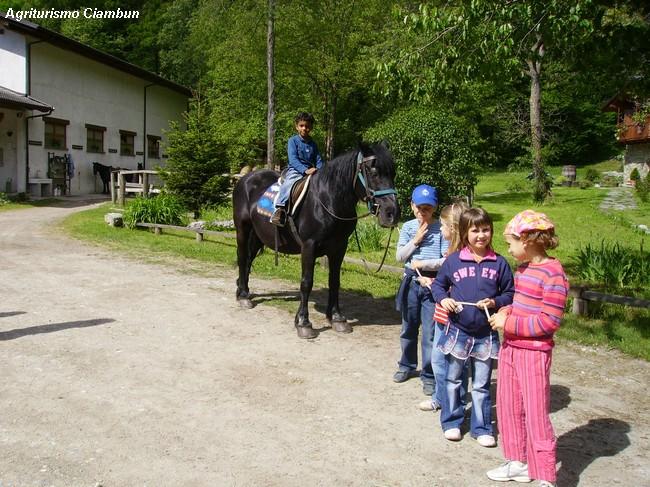 i bambini con i cavalli